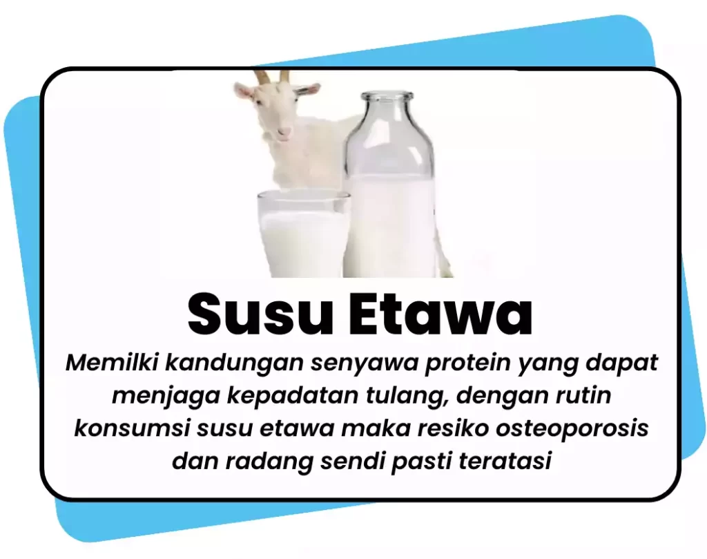 Manfaat Susu etawa, mengandung protein