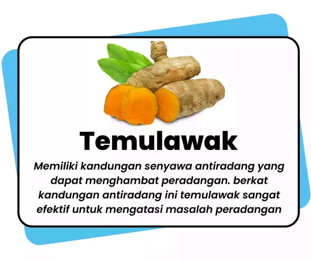 Manfaat temulawak menghambat peradangan